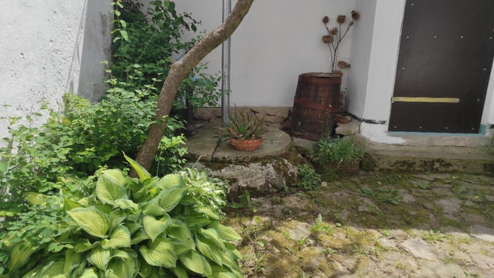 Ubytovani Pod Jilmem Zar Esterno foto